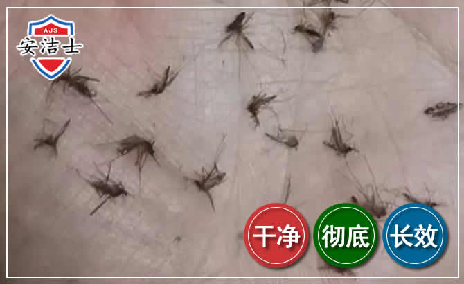 缙云蚊子防治-灭蚊