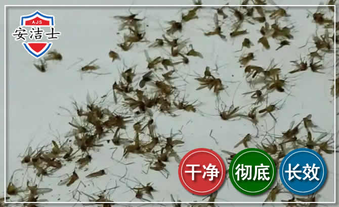 缙云苍蝇防治-灭蝇