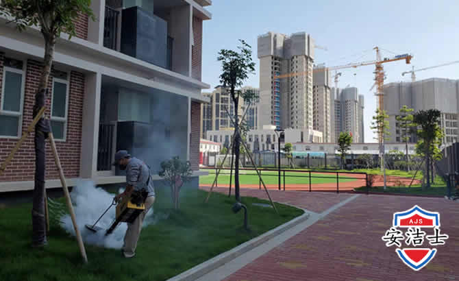 缙云工厂工地除白蚁