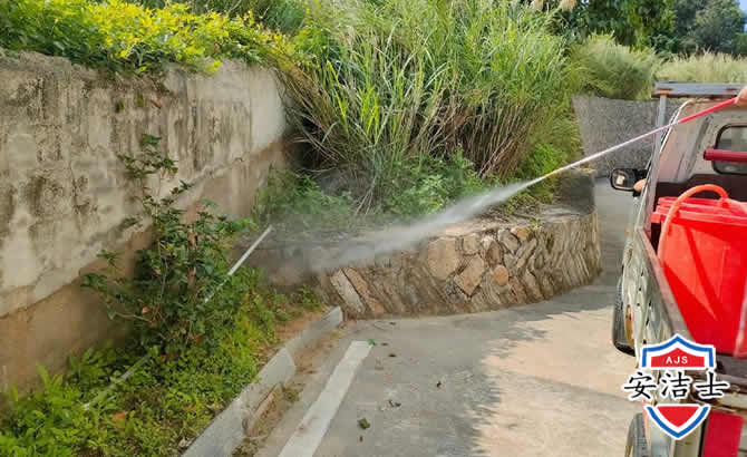 缙云道路堤坝白蚁防治