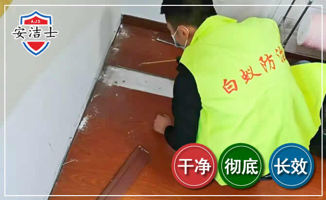 缙云除四害现场