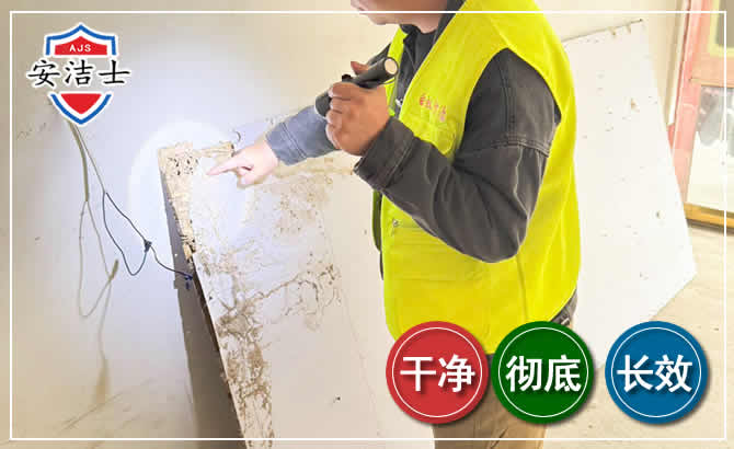 缙云除白蚁现场