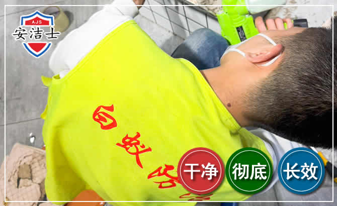 缙云白蚁根治现场